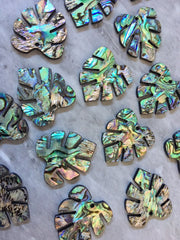 Abalone Shell Green Monstera Acrylic Blanks Cutout, earring pendant jewelry making, 30mm jewelry, Palm leaves blanks, geode agate