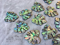 Abalone Shell Green Monstera Acrylic Blanks Cutout, earring pendant jewelry making, 30mm jewelry, Palm leaves blanks, geode agate