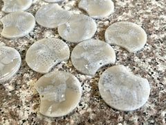 Gray Snakeskin Glitter Resin Acrylic Blanks Cutout, circle round earring pendant jewelry making, 35mm jewelry, 1 Hole earring blanks