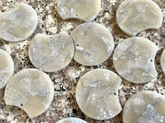 Gray Snakeskin Glitter Resin Acrylic Blanks Cutout, circle round earring pendant jewelry making, 35mm jewelry, 1 Hole earring blanks