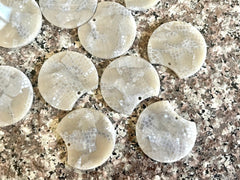Gray Snakeskin Glitter Resin Acrylic Blanks Cutout, circle round earring pendant jewelry making, 35mm jewelry, 1 Hole earring blanks
