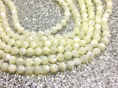 Cream Natural Sea Shell Beads Strands, Round beads, Ivory beads, 8mm ivory beads, 15" strand, agate strung beads, off white ivory cream