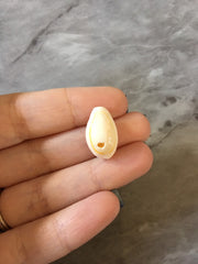 WHOLESALE Puka Shell Collection, 10 ounce bag natural cream cowrie shell statement necklace, shell beads island jewelry white earrings