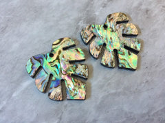 Abalone Shell Green Monstera Acrylic Blanks Cutout, earring pendant jewelry making, 30mm jewelry, Palm leaves blanks, geode agate